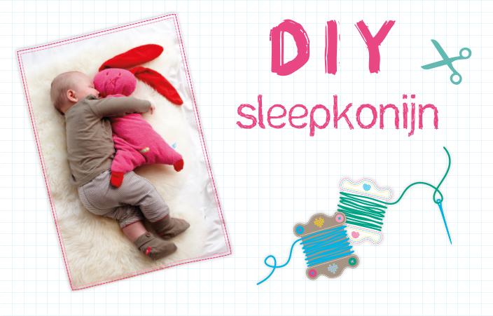 lief-sleepkonijn